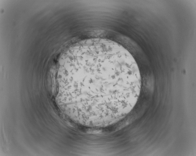 X0000082730602200702232349