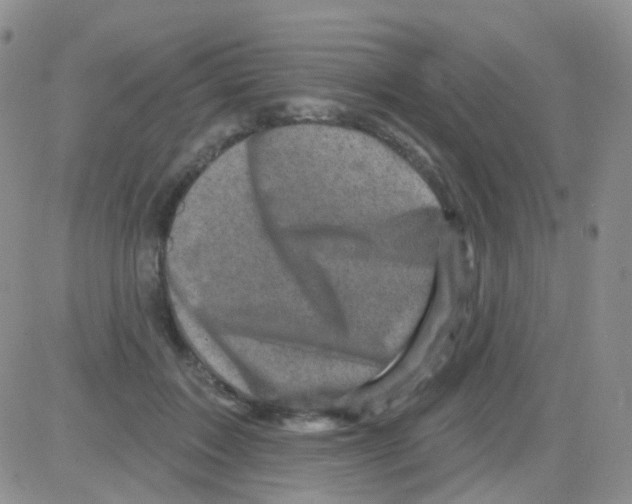 X0000082730603200702232349