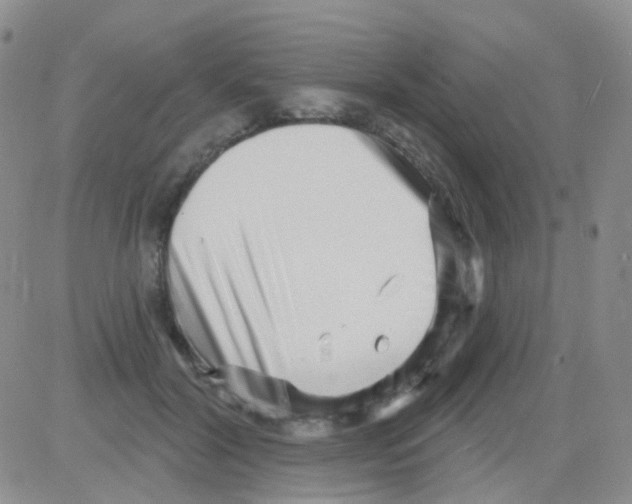 X0000082730604200702232349