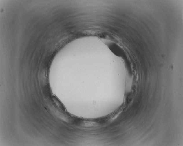 X0000082730605200702232349