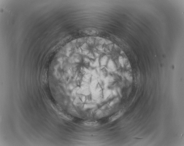 X0000082730606200702232349