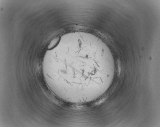 X0000082730607200702232349