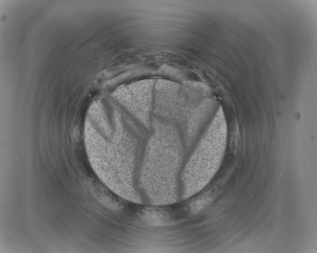 X0000082730608200702232349