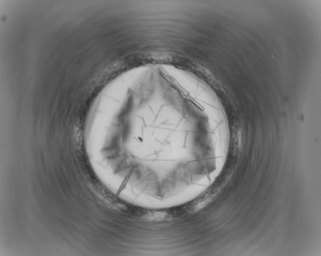 X0000082730609200702232349