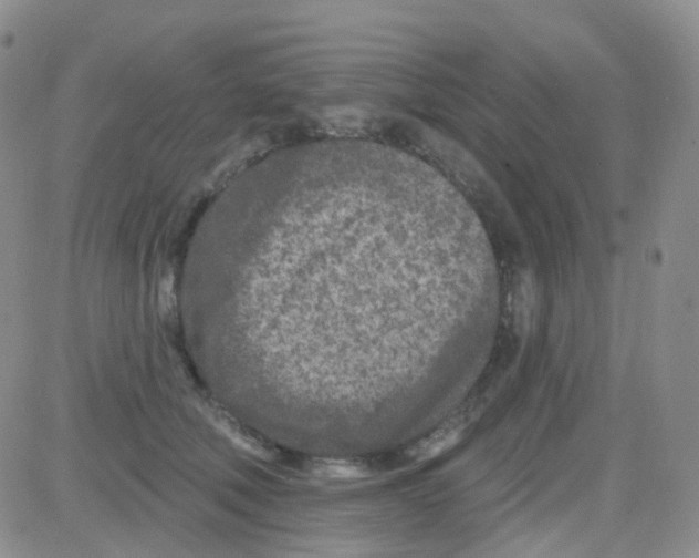 X0000082730610200702232349