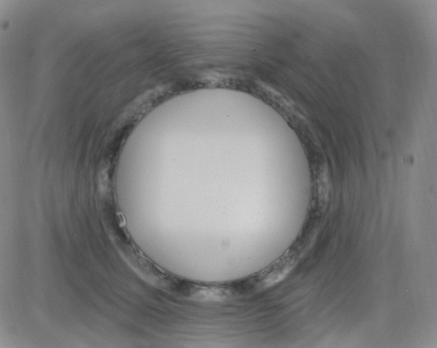 X0000082730611200702232349