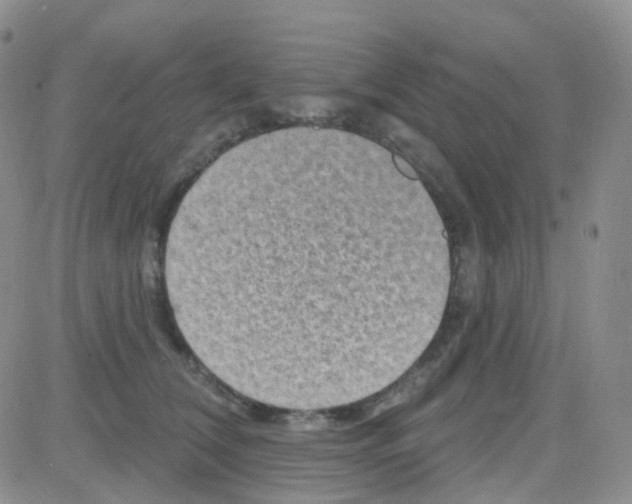 X0000082730612200702232349