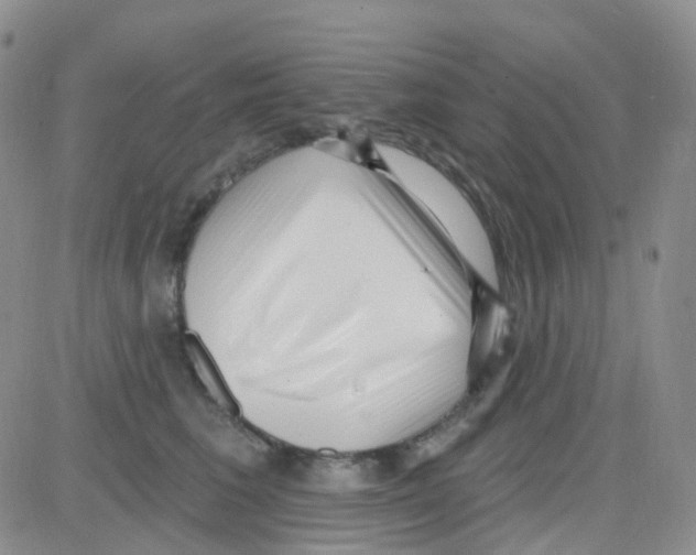 X0000082730613200702232349