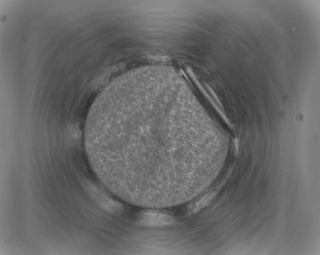 X0000082730614200702232349