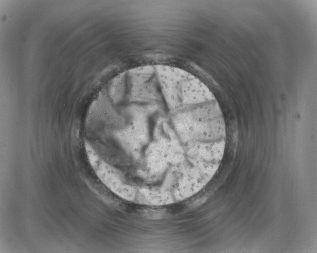 X0000082730615200702232349