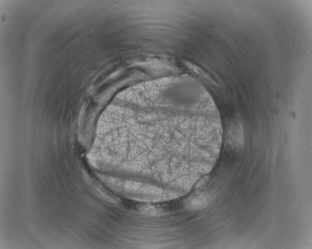 X0000082730616200702232349