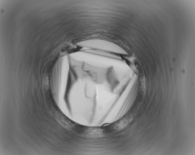 X0000082730617200702232349