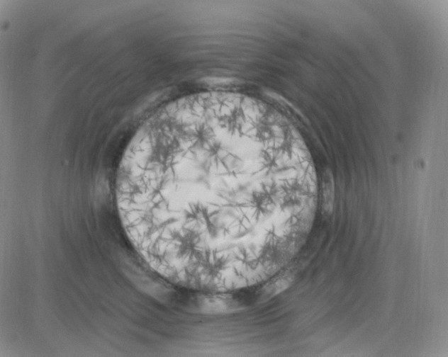 X0000082730618200702232349