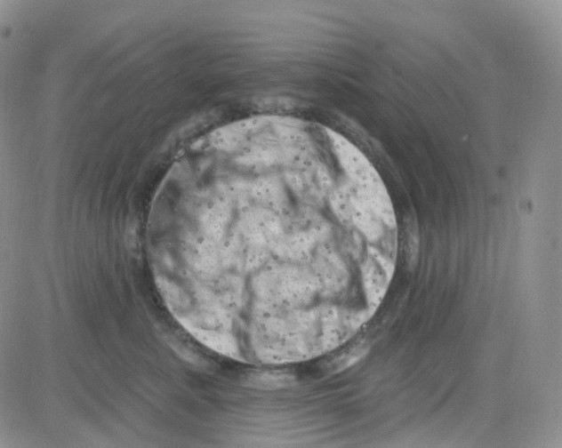 X0000082730619200702232349