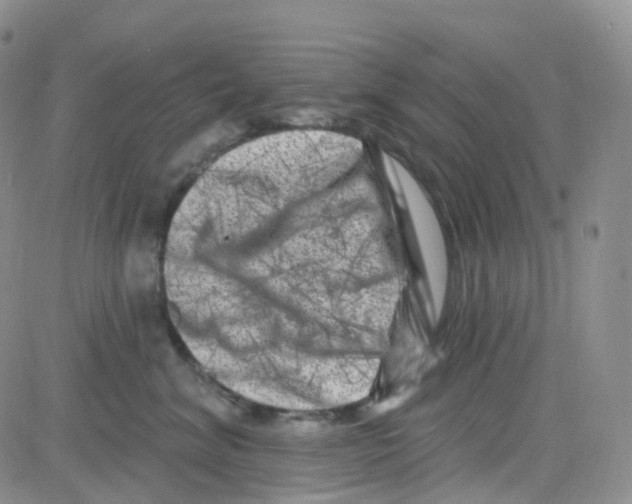 X0000082730620200702232349