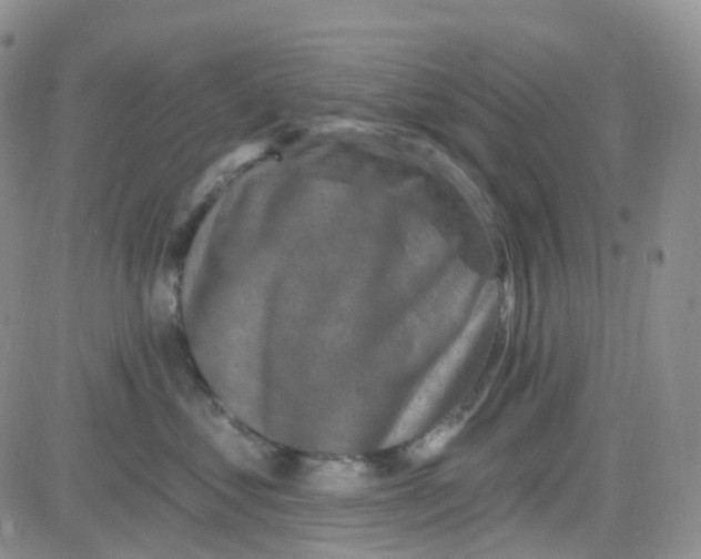 X0000082730621200702232349