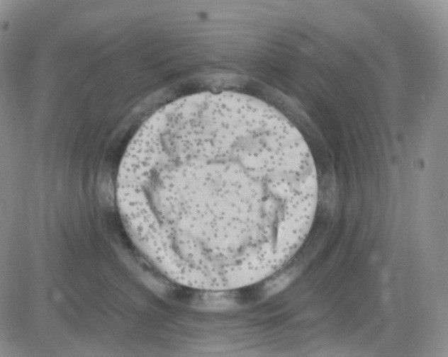 X0000082730622200702232349