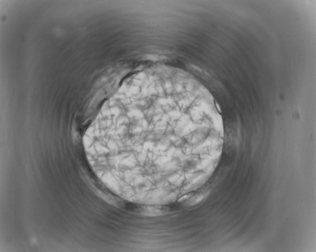 X0000082730623200702232349