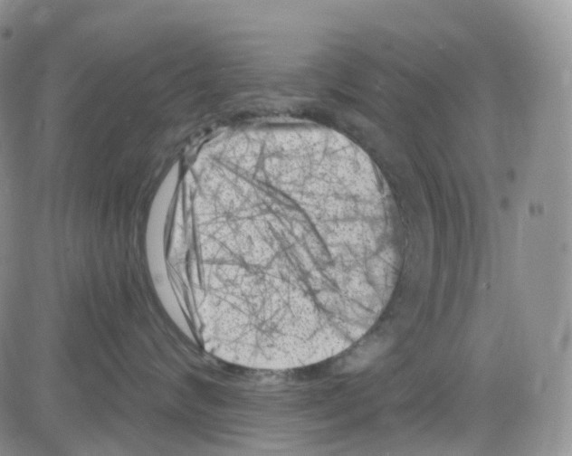 X0000082730624200702232349