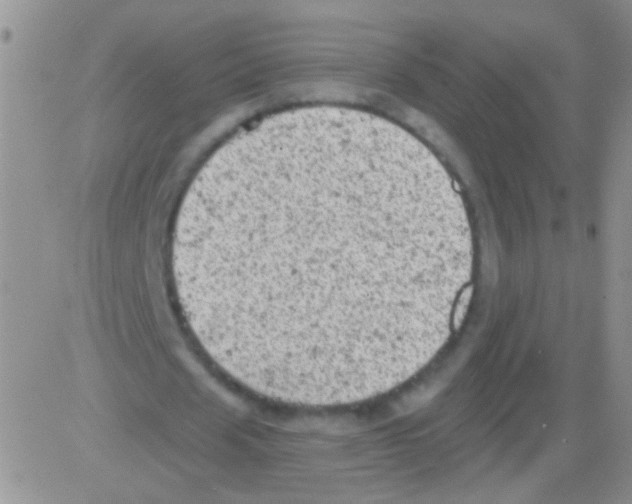 X0000082730625200702232348