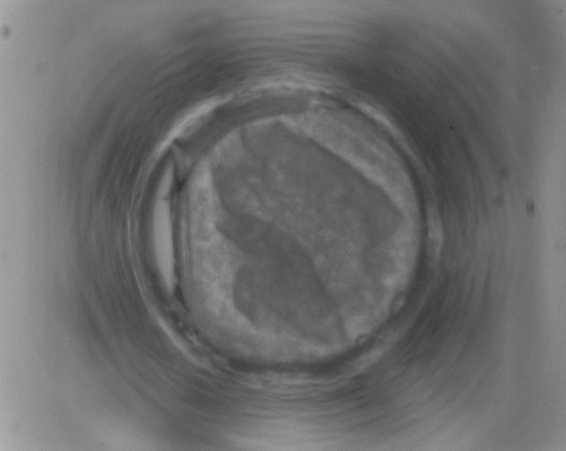 X0000082730626200702232348