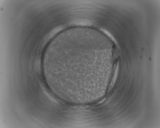 X0000082730627200702232348