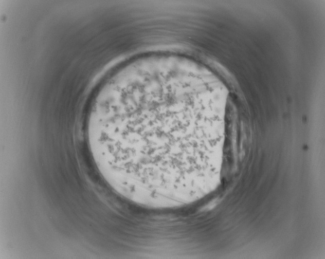 X0000082730628200702232348