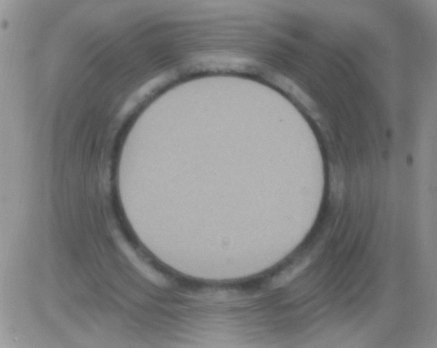 X0000082730629200702232348