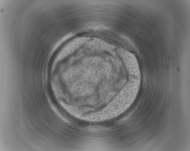 X0000082730630200702232348