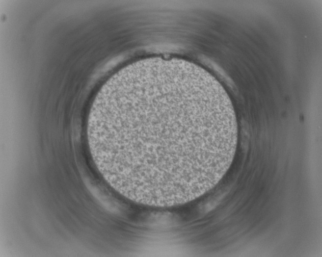 X0000082730631200702232348