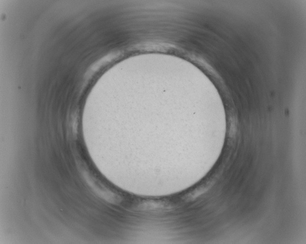 X0000082730632200702232348