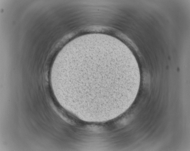 X0000082730633200702232348