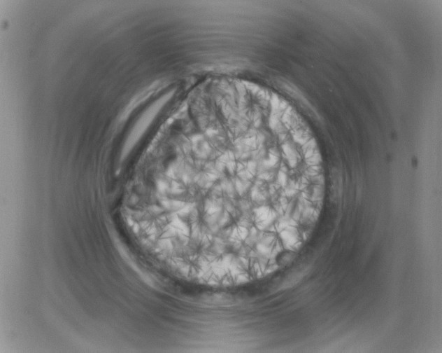 X0000082730634200702232348