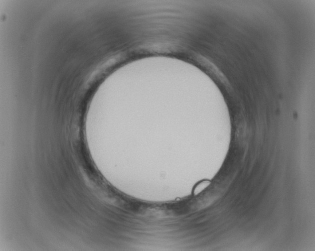 X0000082730635200702232348