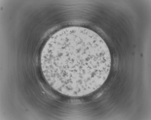 X0000082730636200702232348