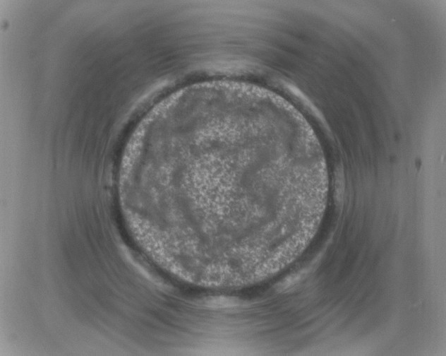 X0000082730637200702232348