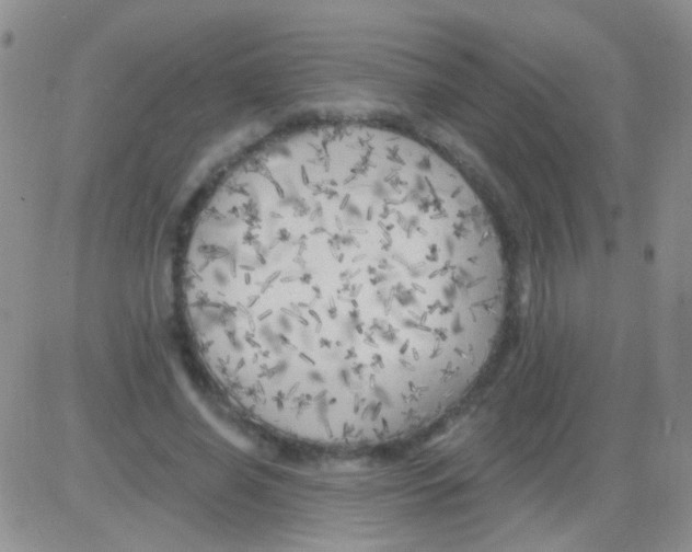 X0000082730638200702232348