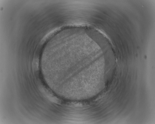 X0000082730640200702232348