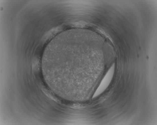 X0000082730641200702232348