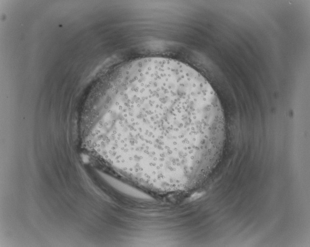 X0000082730642200702232348