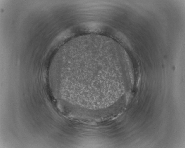 X0000082730643200702232348