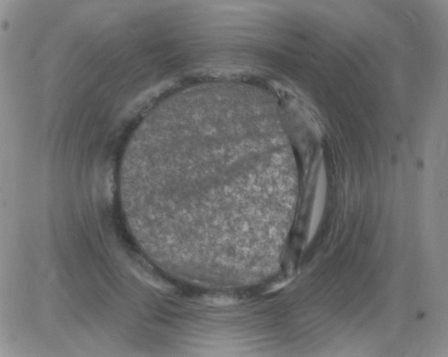 X0000082730644200702232348