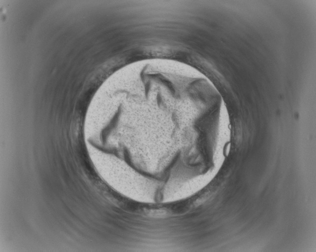 X0000082730645200702232348