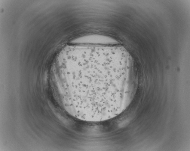 X0000082730646200702232348