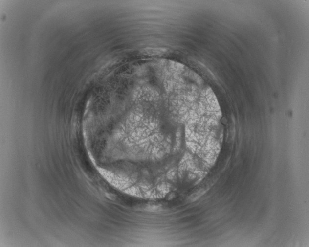 X0000082730647200702232348