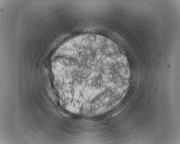 X0000082730648200702232348