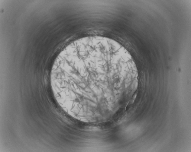 X0000082730649200702232348