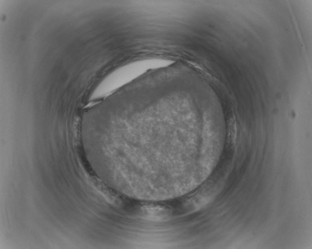 X0000082730650200702232348