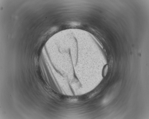 X0000082730651200702232348