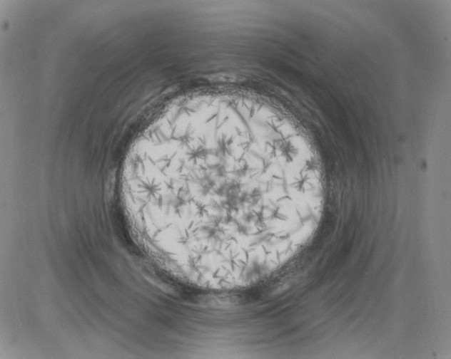 X0000082730652200702232348